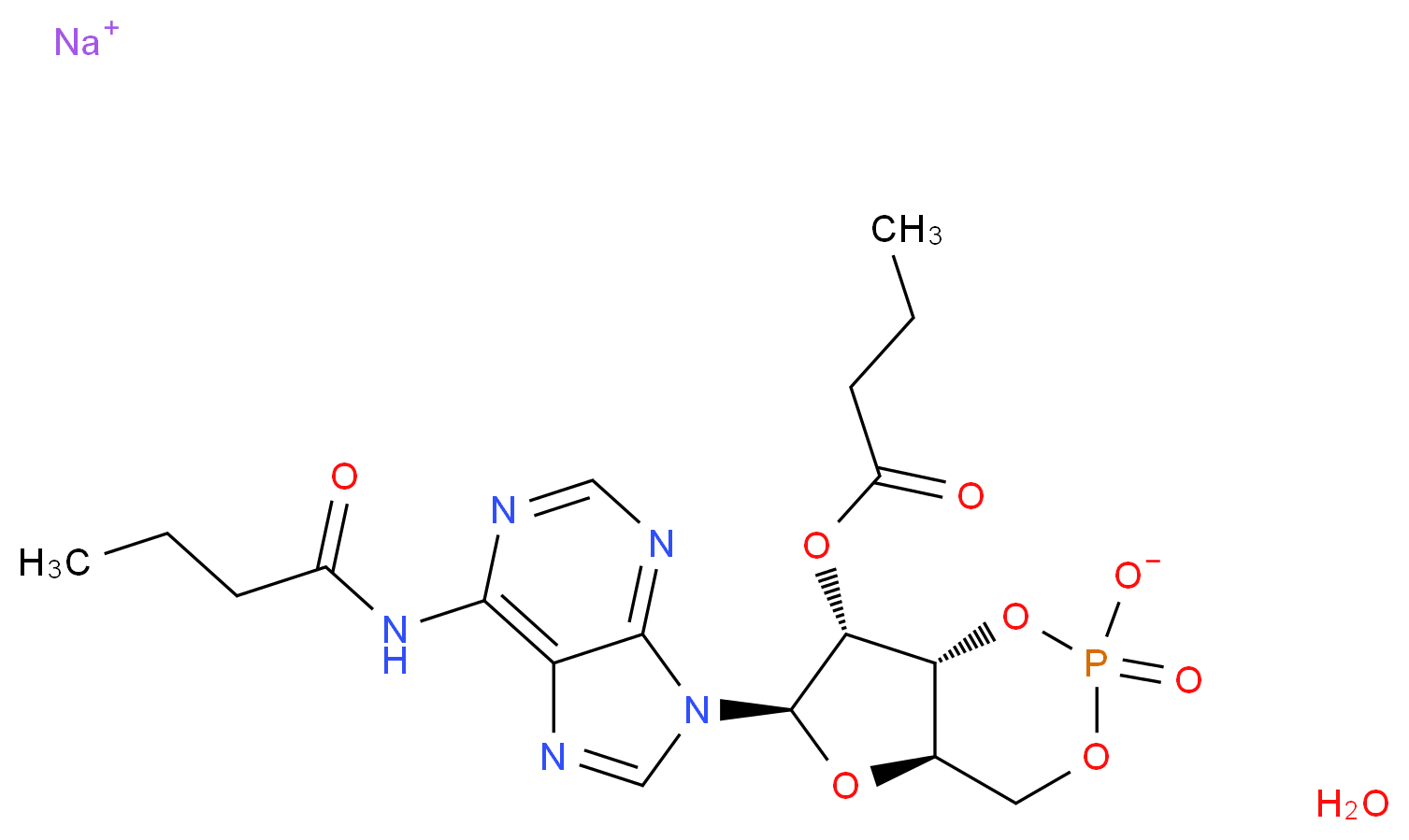 N6,2′-O-Dibutyryladenosine 3′,5′-cyclic monophosphate sodium salt monohydrate_Molecular_structure_CAS_16980-89-5)
