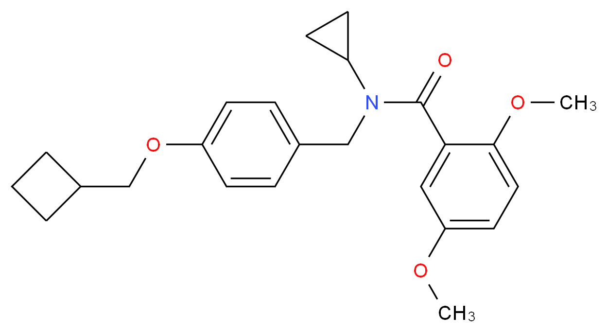 N-[4-(cyclobutylmethoxy)benzyl]-N-cyclopropyl-2,5-dimethoxybenzamide_Molecular_structure_CAS_)