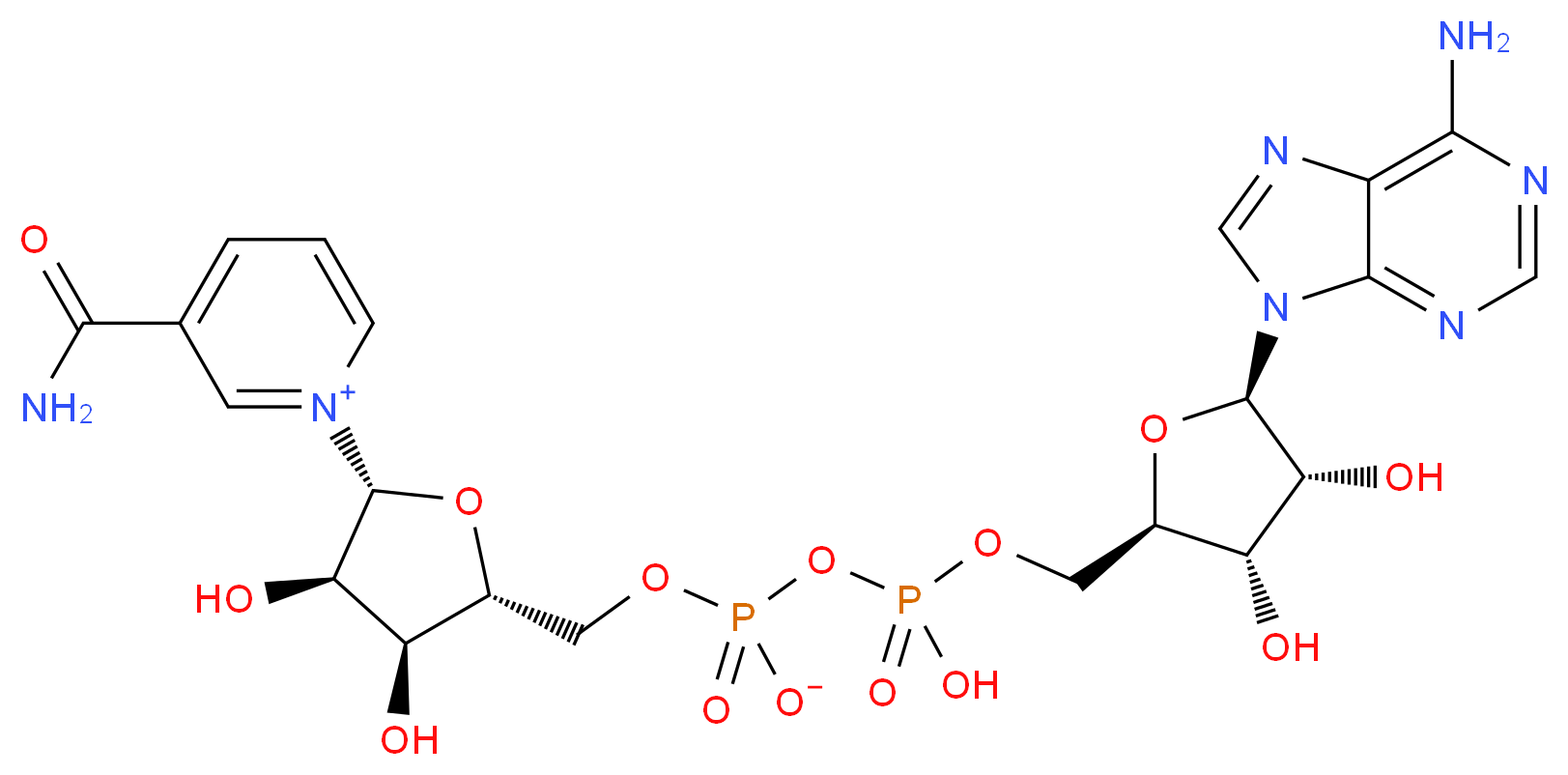 β-Nicotinamide adenine dinucleotide_Molecular_structure_CAS_53-84-9)