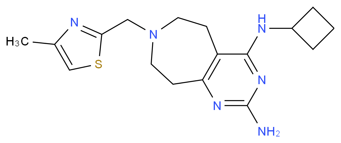 N~4~-cyclobutyl-7-[(4-methyl-1,3-thiazol-2-yl)methyl]-6,7,8,9-tetrahydro-5H-pyrimido[4,5-d]azepine-2,4-diamine_Molecular_structure_CAS_)