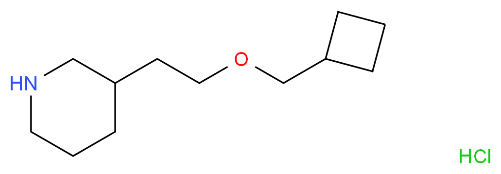 3-[2-(Cyclobutylmethoxy)ethyl]piperidine hydrochloride_Molecular_structure_CAS_)