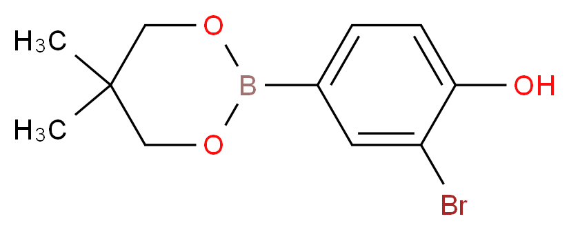 3-Bromo-4-hydroxybenzeneboronic acid, neopentyl glycol ester_Molecular_structure_CAS_)