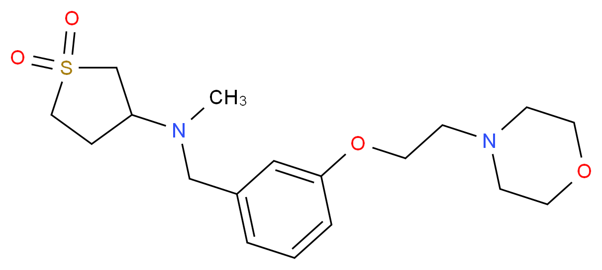 (1,1-dioxidotetrahydro-3-thienyl)methyl[3-(2-morpholin-4-ylethoxy)benzyl]amine_Molecular_structure_CAS_)