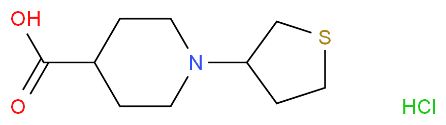 MFCD06801312 molecular structure