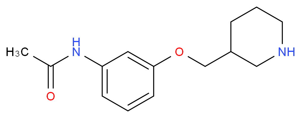 N-[3-(3-Piperidinylmethoxy)phenyl]acetamide_Molecular_structure_CAS_)