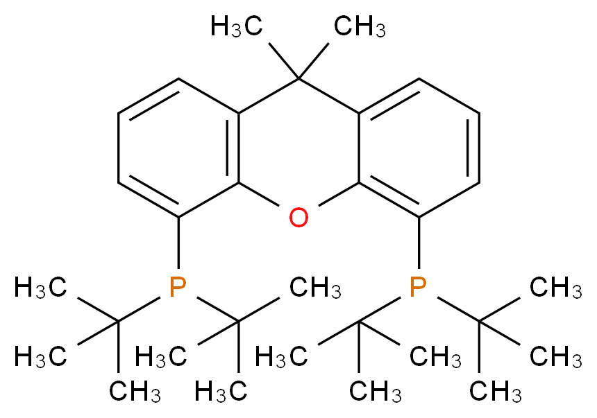 9,9-Dimethyl-4,5-bis(di-tert-butylphosphino)xanthene_Molecular_structure_CAS_856405-77-1)