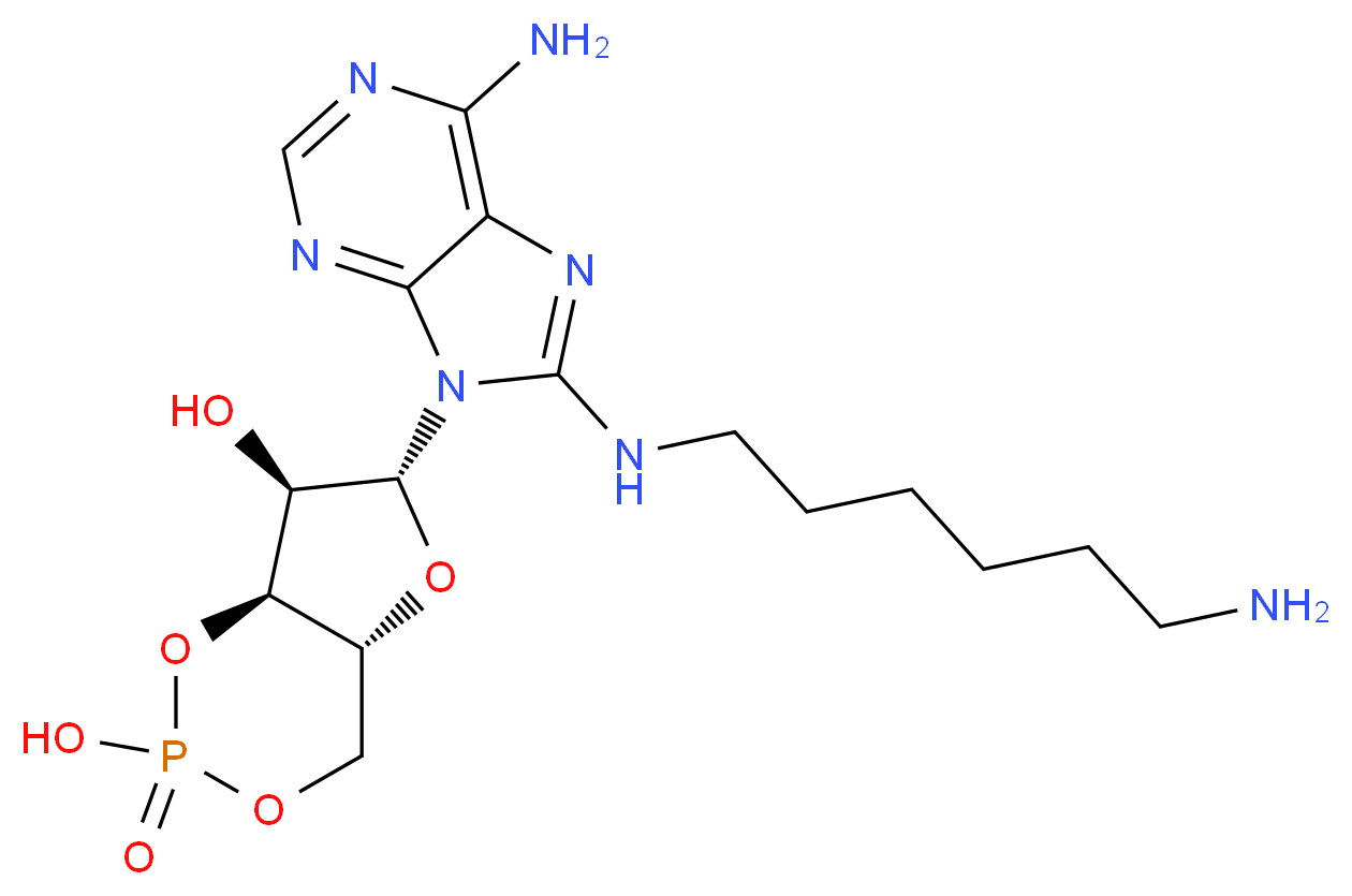 8-(6-Aminohexyl)aminoadenosine 3′:5′-cyclic monophosphate_Molecular_structure_CAS_39824-30-1)
