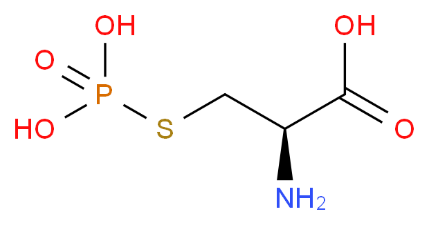_Molecular_structure_CAS_)