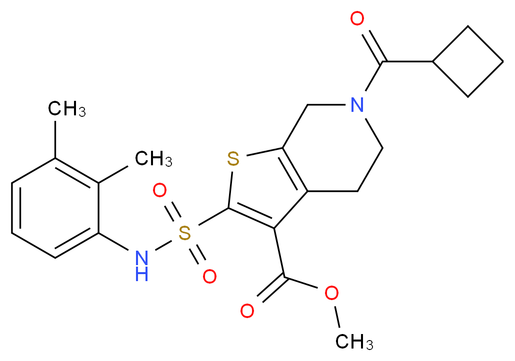 methyl 6-(cyclobutylcarbonyl)-2-{[(2,3-dimethylphenyl)amino]sulfonyl}-4,5,6,7-tetrahydrothieno[2,3-c]pyridine-3-carboxylate_Molecular_structure_CAS_)