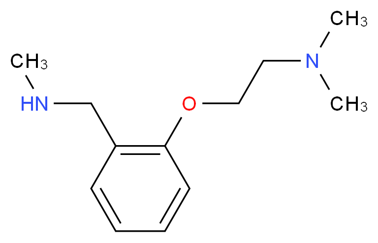 N-methyl-2-[2-(dimethylamino)ethoxy]benzylamine_Molecular_structure_CAS_884507-33-9)