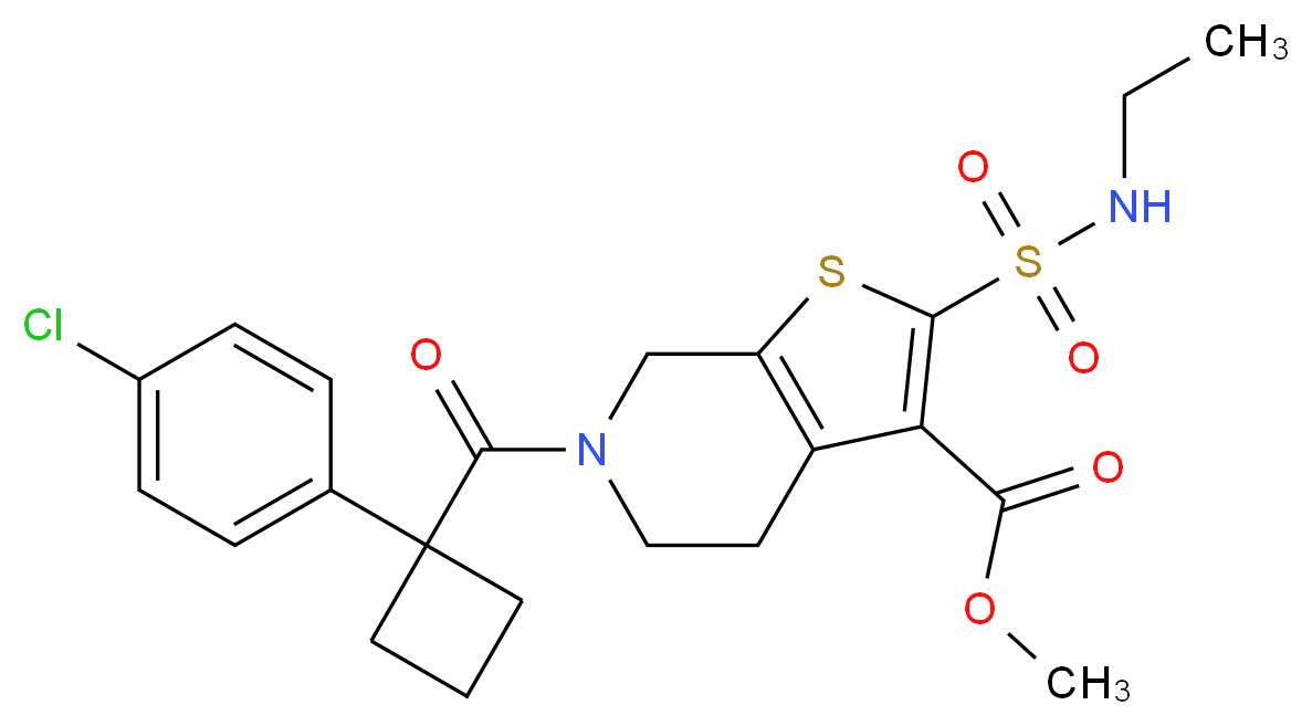 methyl 6-{[1-(4-chlorophenyl)cyclobutyl]carbonyl}-2-[(ethylamino)sulfonyl]-4,5,6,7-tetrahydrothieno[2,3-c]pyridine-3-carboxylate_Molecular_structure_CAS_)