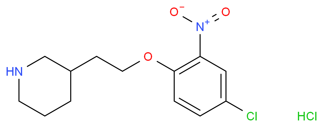 3-[2-(4-Chloro-2-nitrophenoxy)ethyl]piperidine hydrochloride_Molecular_structure_CAS_)