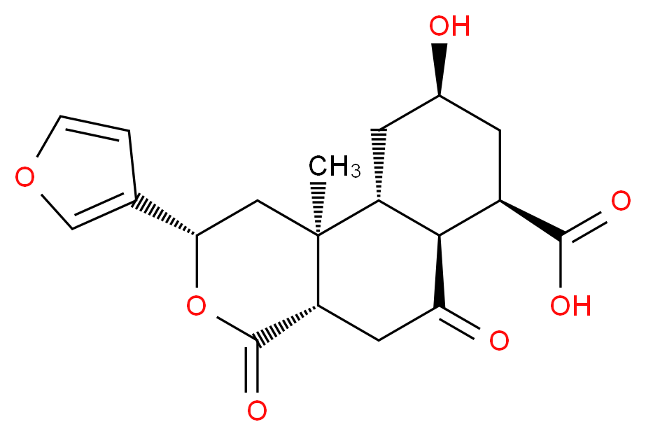 N molecular structure