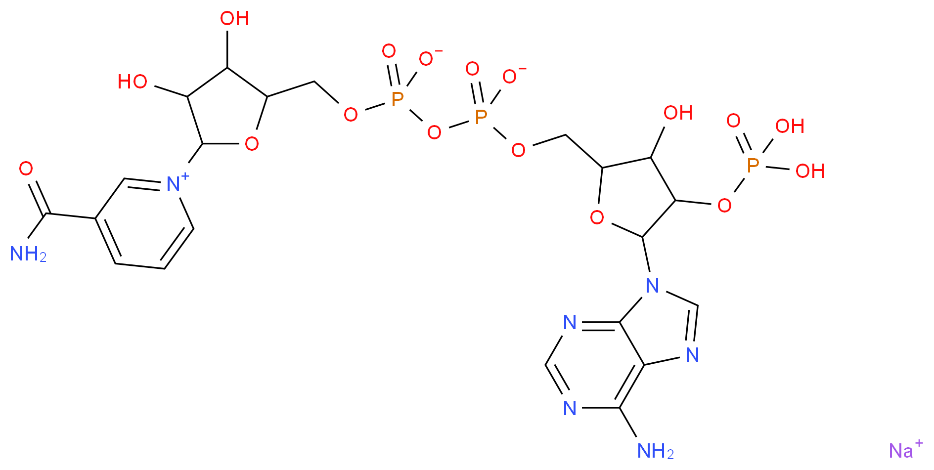 β-Nicotinamide adenine dinucleotide phosphate sodium salt hydrate_Molecular_structure_CAS_698999-85-8)
