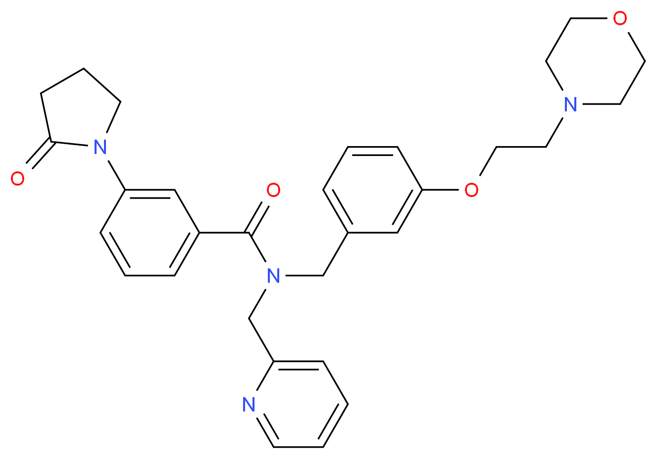 N-{3-[2-(4-morpholinyl)ethoxy]benzyl}-3-(2-oxo-1-pyrrolidinyl)-N-(2-pyridinylmethyl)benzamide_Molecular_structure_CAS_)