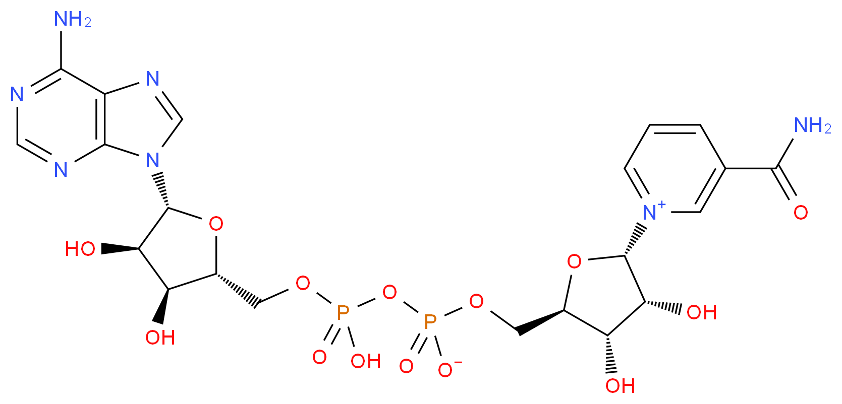α-Nicotinamide adenine dinucleotide_Molecular_structure_CAS_7298-93-3)