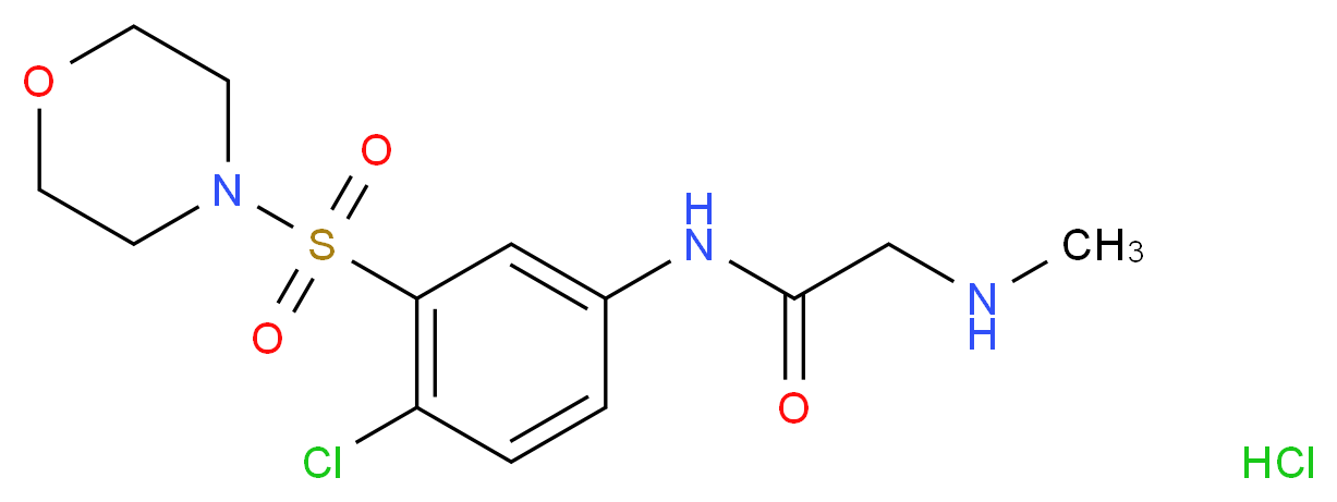 N-[4-chloro-3-(morpholin-4-ylsulfonyl)phenyl]-2-(methylamino)acetamide hydrochloride_Molecular_structure_CAS_)