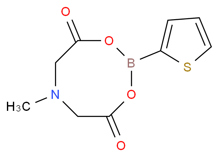 2-Thiopheneboronic acid MIDA ester_Molecular_structure_CAS_1158984-92-9)