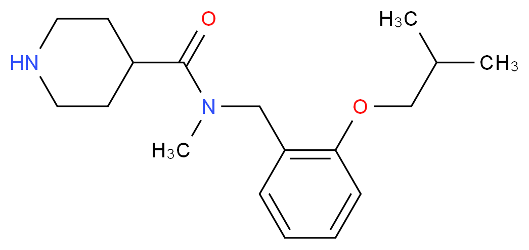 N-(2-isobutoxybenzyl)-N-methylpiperidine-4-carboxamide_Molecular_structure_CAS_)