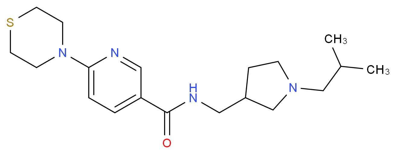 N-[(1-isobutyl-3-pyrrolidinyl)methyl]-6-(4-thiomorpholinyl)nicotinamide_Molecular_structure_CAS_)