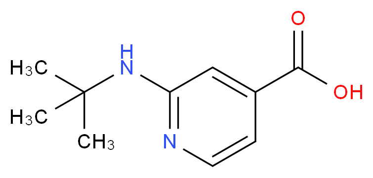 2-(tert-Butylamino)isonicotinic acid_Molecular_structure_CAS_)