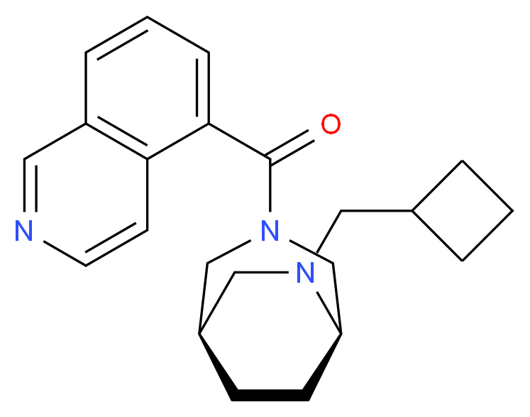 5-{[(1R*,5R*)-6-(cyclobutylmethyl)-3,6-diazabicyclo[3.2.2]non-3-yl]carbonyl}isoquinoline_Molecular_structure_CAS_)