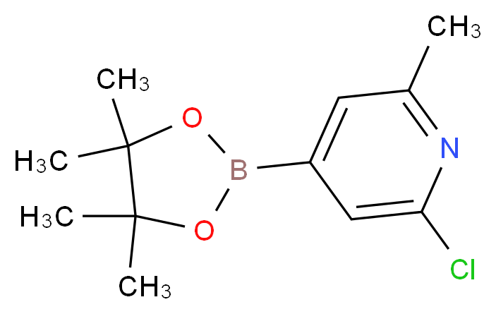 2-Chloro-6-methylpyridine-4-boronic acid, pinacol ester_Molecular_structure_CAS_697739-22-3)