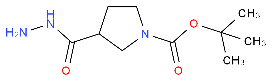 3-Hydrazinocarbonyl-pyrrolidine-1-carboxylic acid tert-butyl ester_Molecular_structure_CAS_411238-88-5)