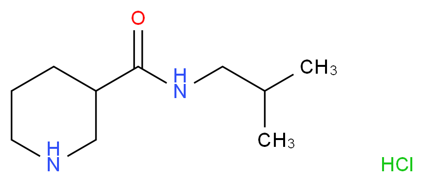 N-isobutylpiperidine-3-carboxamide hydrochloride_Molecular_structure_CAS_937725-08-1)