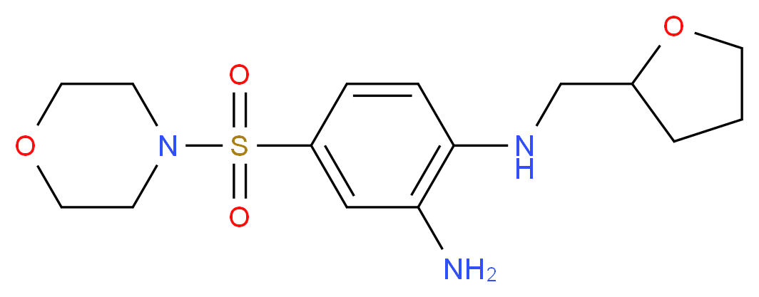 4-(Morpholine-4-sulfonyl)-N*1*-(tetrahydro-furan-2-ylmethyl)-benzene-1,2-diamine_Molecular_structure_CAS_)