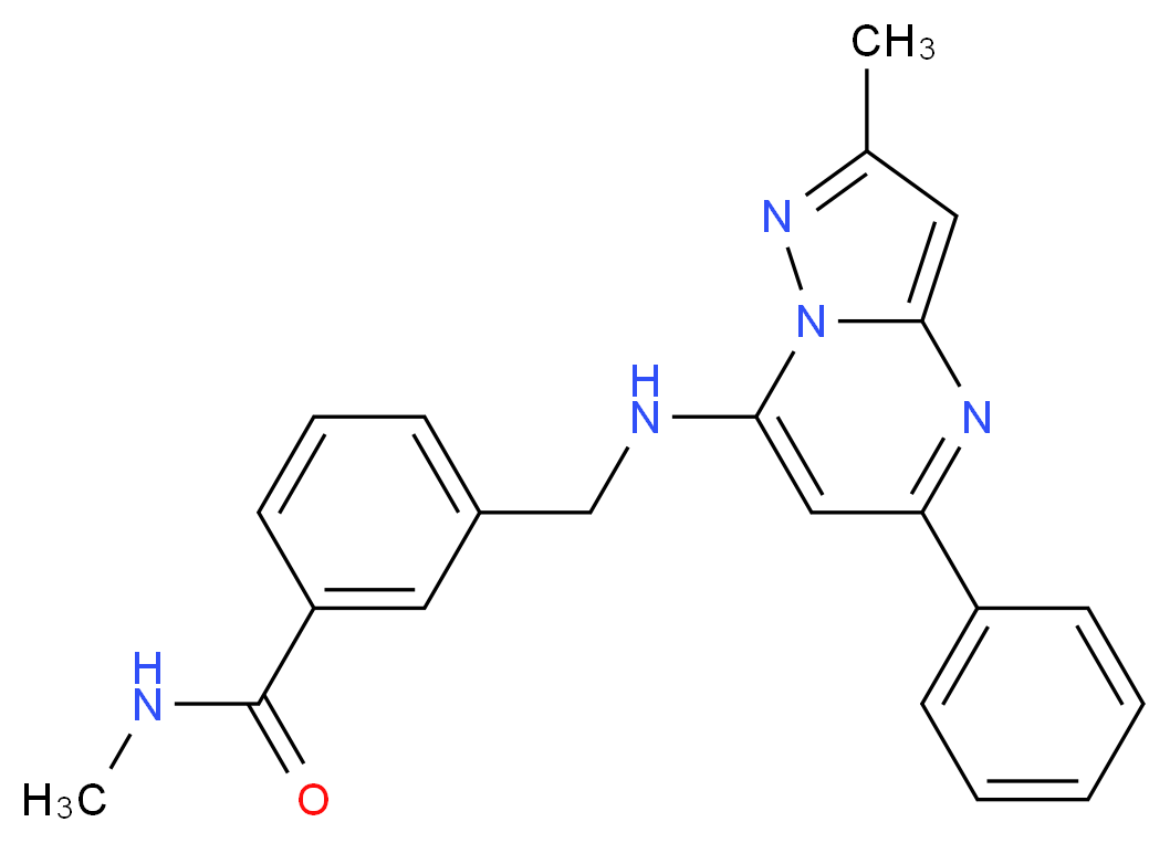 N-methyl-3-{[(2-methyl-5-phenylpyrazolo[1,5-a]pyrimidin-7-yl)amino]methyl}benzamide_Molecular_structure_CAS_)