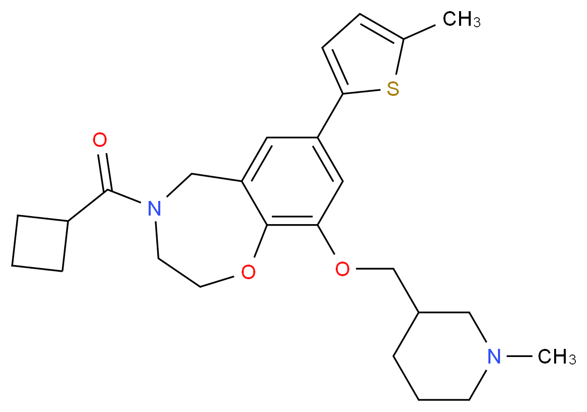 4-(cyclobutylcarbonyl)-9-[(1-methyl-3-piperidinyl)methoxy]-7-(5-methyl-2-thienyl)-2,3,4,5-tetrahydro-1,4-benzoxazepine_Molecular_structure_CAS_)