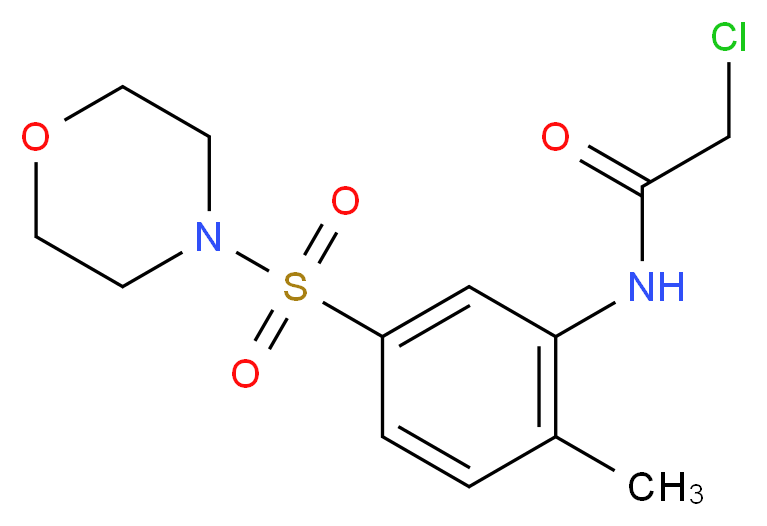 2-Chloro-N-[2-methyl-5-(morpholine-4-sulfonyl)-phenyl]-acetamide_Molecular_structure_CAS_)