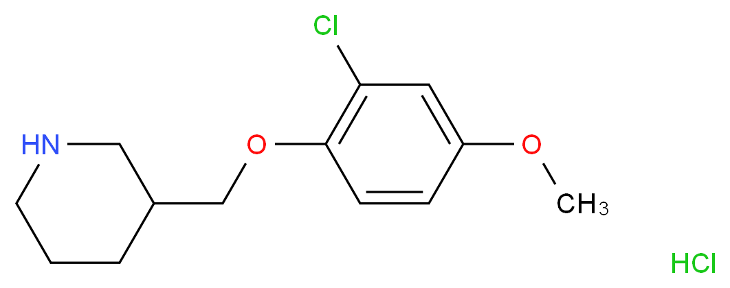3-[(2-Chloro-4-methoxyphenoxy)methyl]piperidine hydrochloride_Molecular_structure_CAS_)
