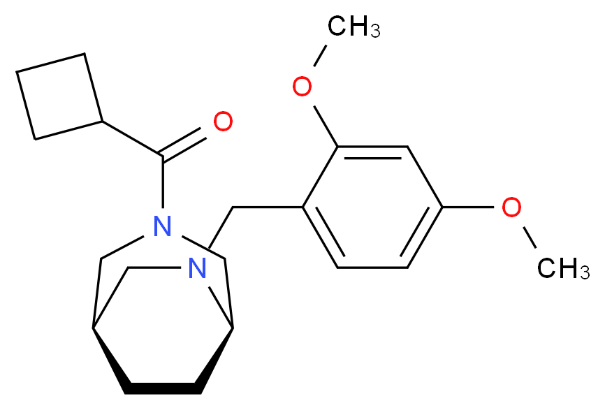 (1R*,5R*)-3-(cyclobutylcarbonyl)-6-(2,4-dimethoxybenzyl)-3,6-diazabicyclo[3.2.2]nonane_Molecular_structure_CAS_)
