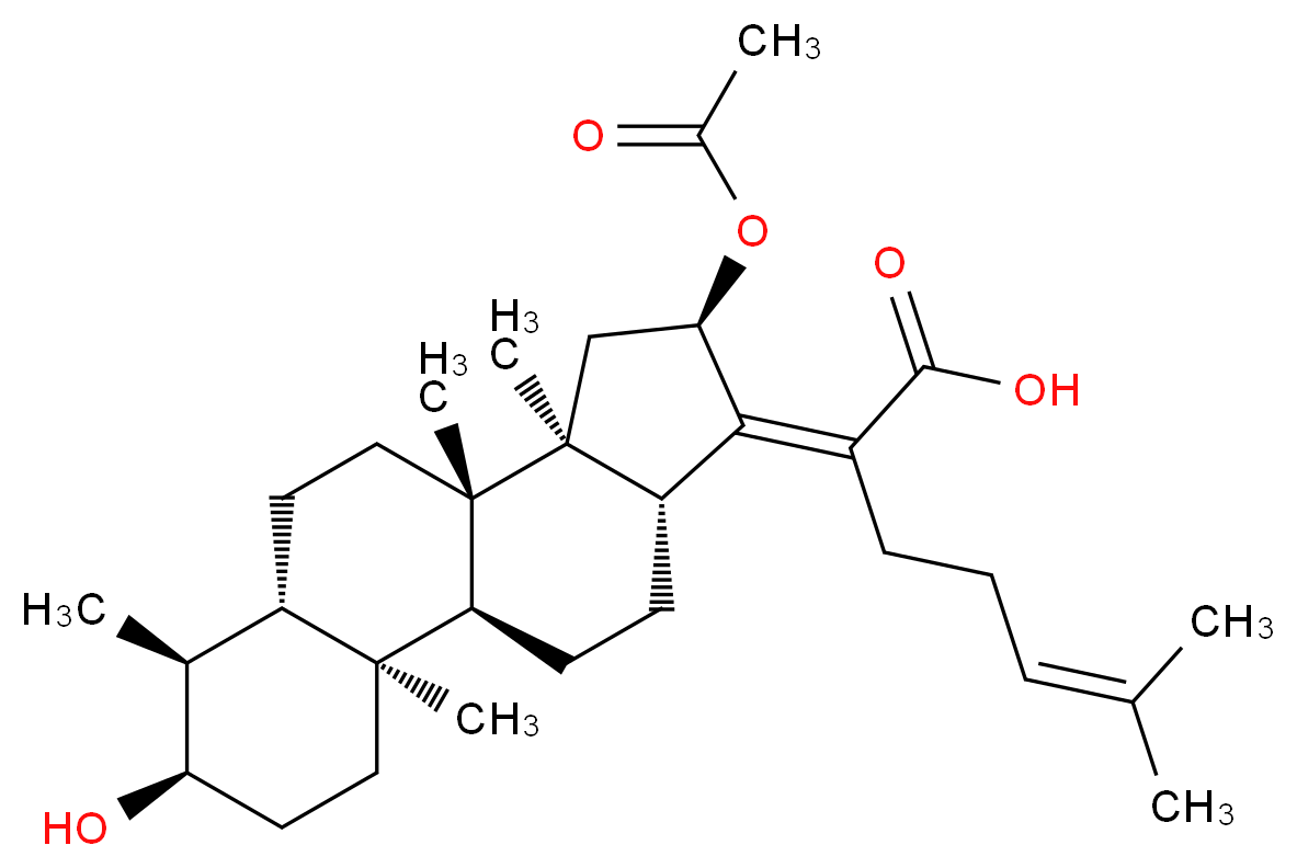 1013937-16-0 molecular structure