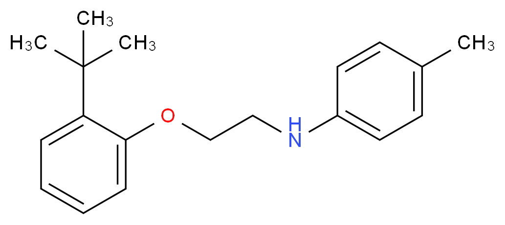 N-{2-[2-(tert-Butyl)phenoxy]ethyl}-4-methylaniline_Molecular_structure_CAS_)