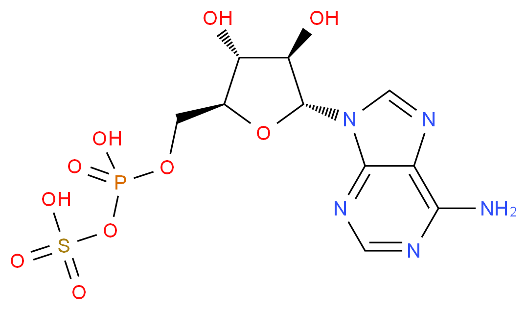 Adenosine-5'-Phosphosulfate_Molecular_structure_CAS_)