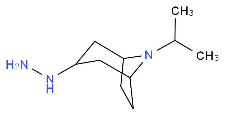 3-hydrazinyl-8-(propan-2-yl)-8-azabicyclo[3.2.1]octane_Molecular_structure_CAS_)