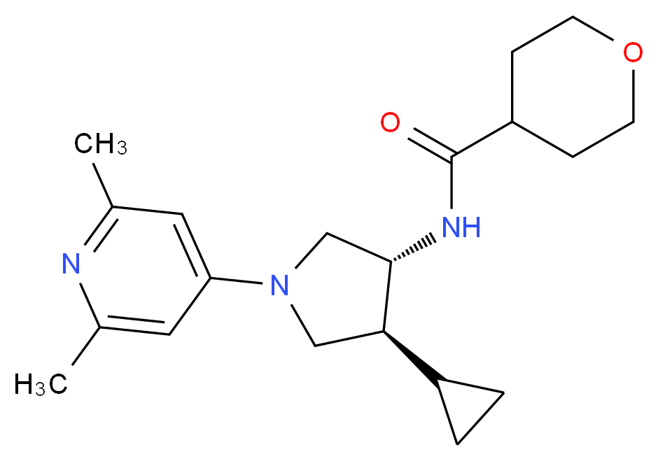 N-[(3R*,4S*)-4-cyclopropyl-1-(2,6-dimethyl-4-pyridinyl)-3-pyrrolidinyl]tetrahydro-2H-pyran-4-carboxamide_Molecular_structure_CAS_)