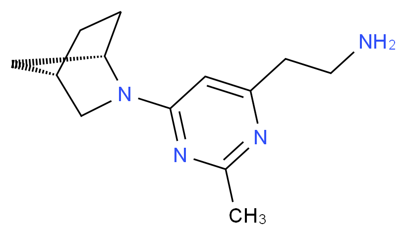 (2-{6-[(1S*,4S*)-2-azabicyclo[2.2.1]hept-2-yl]-2-methylpyrimidin-4-yl}ethyl)amine_Molecular_structure_CAS_)