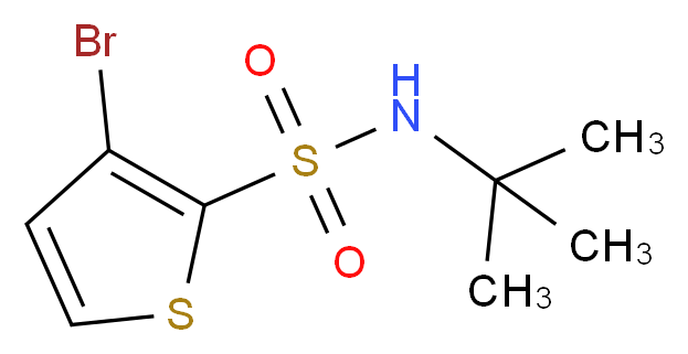 3-bromo-N-tert-butylthiophene-2-sulfonamide_Molecular_structure_CAS_)