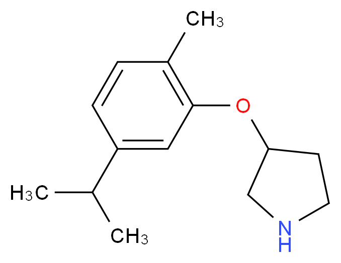 3-(5-Isopropyl-2-methylphenoxy)pyrrolidine_Molecular_structure_CAS_)