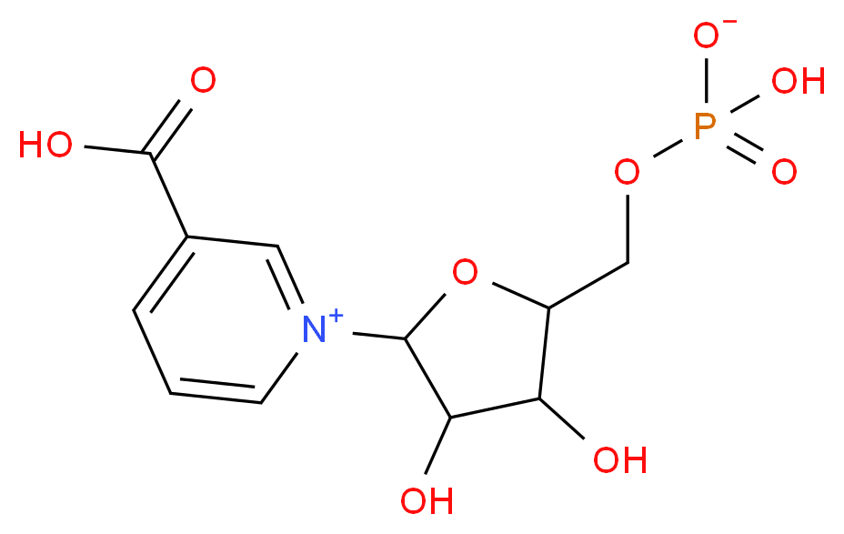 CAS_321-02-8 molecular structure