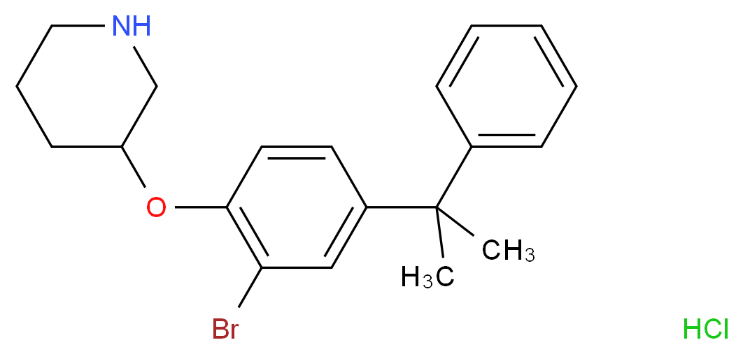 3-[2-Bromo-4-(1-methyl-1-phenylethyl)phenoxy]-piperidine hydrochloride_Molecular_structure_CAS_)