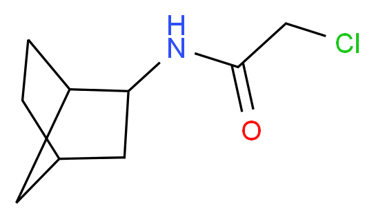 N-bicyclo[2.2.1]hept-2-yl-2-chloroacetamide_Molecular_structure_CAS_90797-09-4)