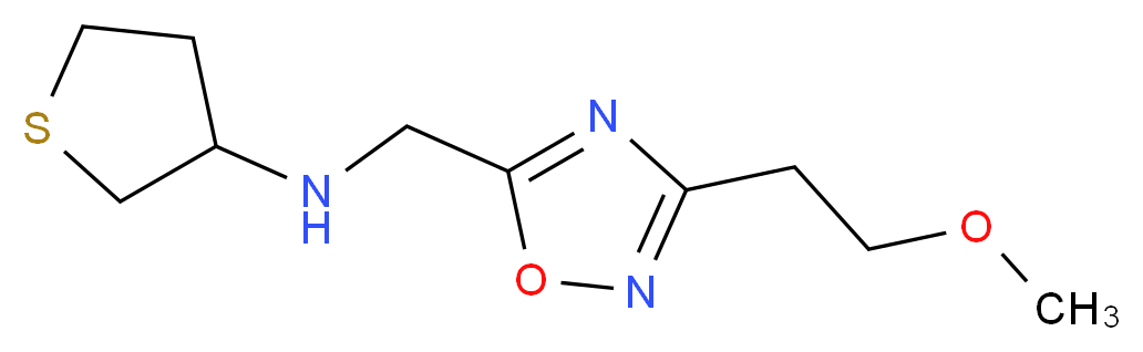 N-{[3-(2-methoxyethyl)-1,2,4-oxadiazol-5-yl]methyl}tetrahydrothiophen-3-amine_Molecular_structure_CAS_)