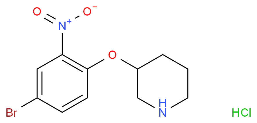 3-(4-Bromo-2-nitrophenoxy)piperidine hydrochloride_Molecular_structure_CAS_)