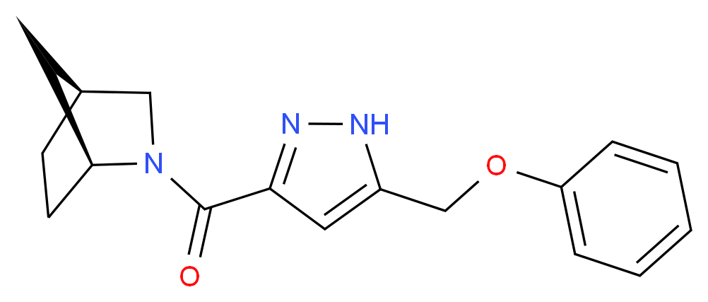 (1S*,4S*)-2-{[5-(phenoxymethyl)-1H-pyrazol-3-yl]carbonyl}-2-azabicyclo[2.2.1]heptane_Molecular_structure_CAS_)