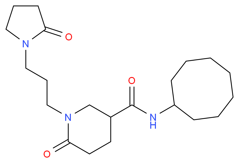 N-cyclooctyl-6-oxo-1-[3-(2-oxo-1-pyrrolidinyl)propyl]-3-piperidinecarboxamide_Molecular_structure_CAS_)